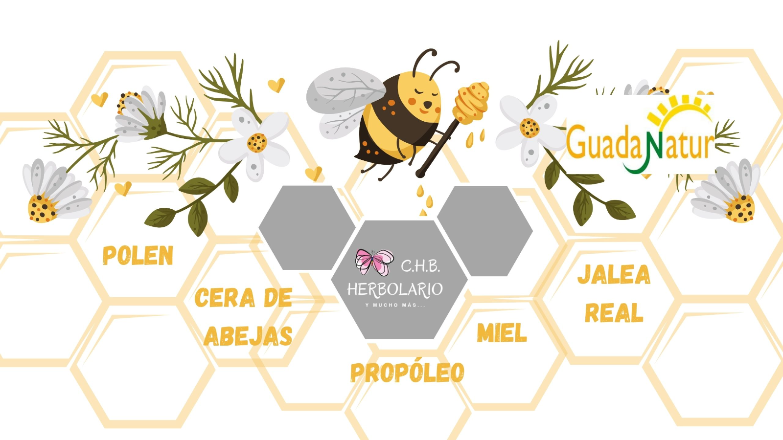 Miel, Polen, Jalea Real, Propóleo y Cera de Abeja ECOLOGICA.