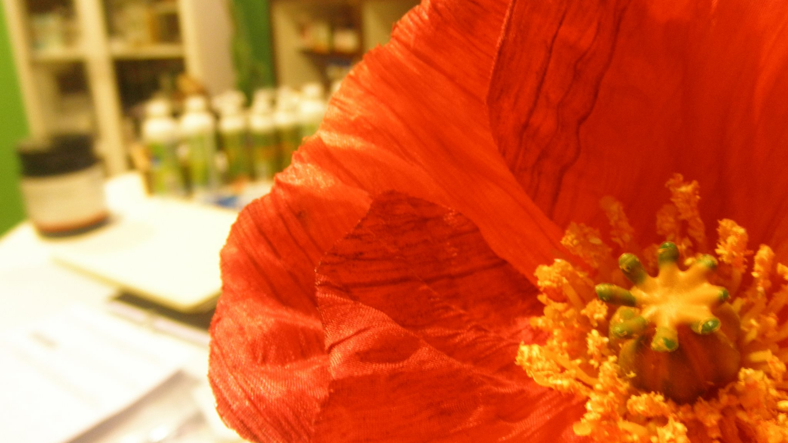 HERBOLARIO DE AMAPOLAS A ROMERO