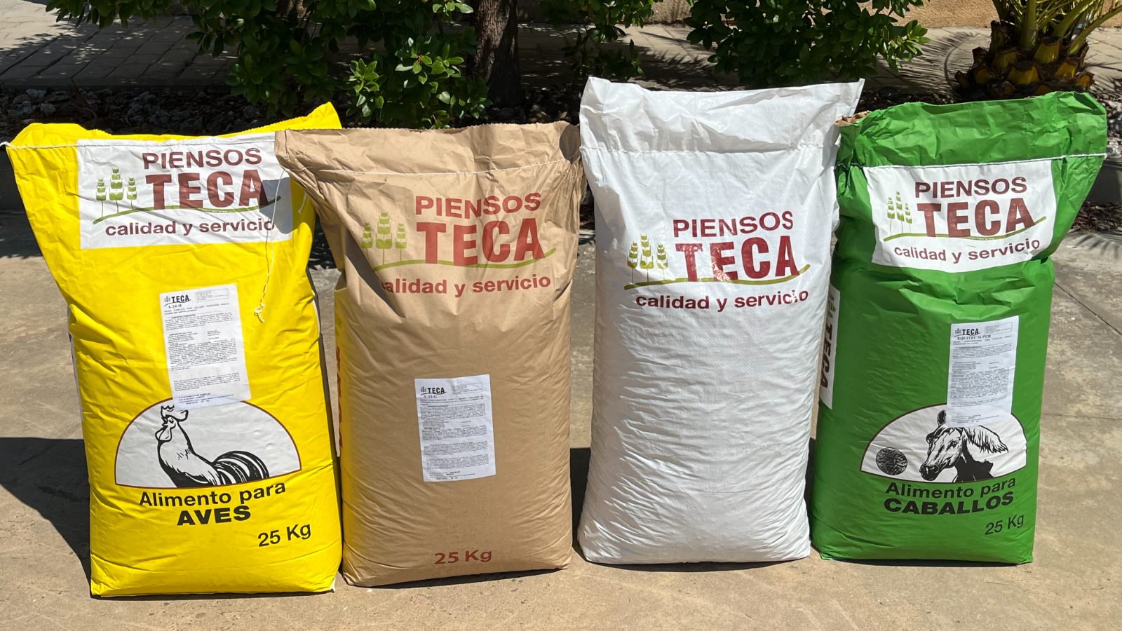 Nuestros productos envasados