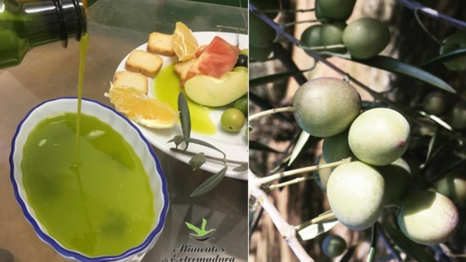 Desde la cosecha a tu mesa: la esencia de la Manzanilla Cacereña en cada gota.