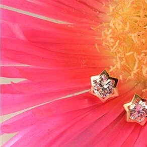 Pendientes ELES 1A-1011/4 (5mm)