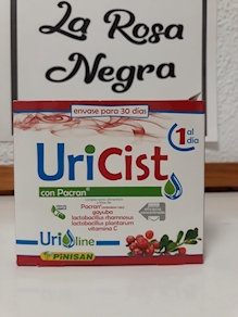 URICIST PINISAN