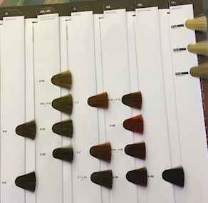 IGORA COLOR10  4-6 DE 60 GRS.