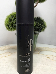 SYSTEM PROFESSIONAL MEN EVERDAY HOLD