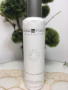 SEBASTIAN COLLECTION SWITCH CRAFT SPRAY DE 227 G.
